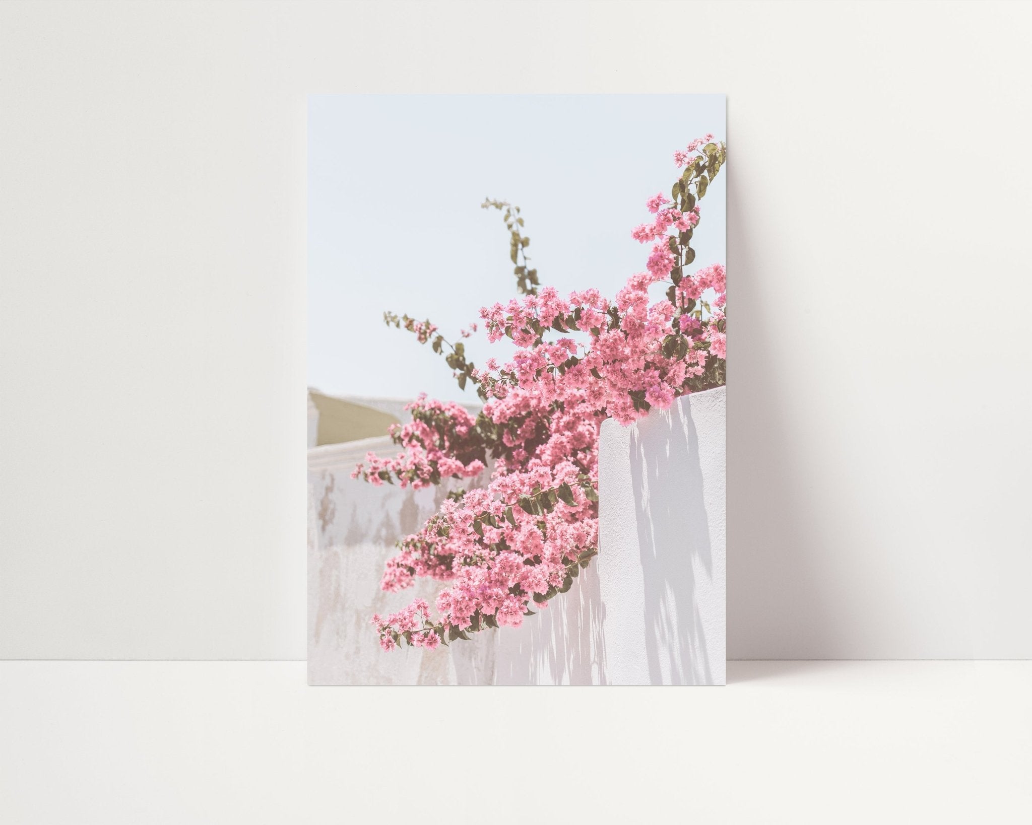 Pink Flower Wall - D'Luxe Prints