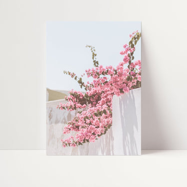 Pink Flower Wall - D'Luxe Prints