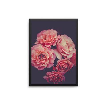 Pink Flowers - D'Luxe Prints