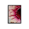 Pink Half Flower - D'Luxe Prints