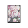 Pink Peonies - D'Luxe Prints