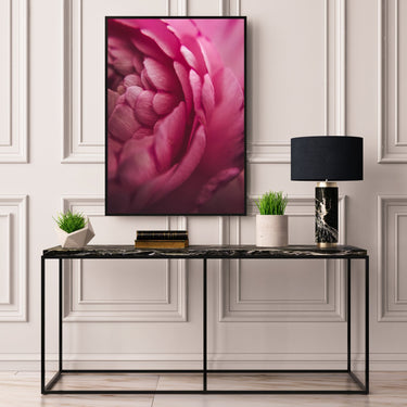 Pink Peony Close Up - D'Luxe Prints
