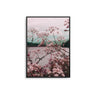 Pink Reeds - D'Luxe Prints