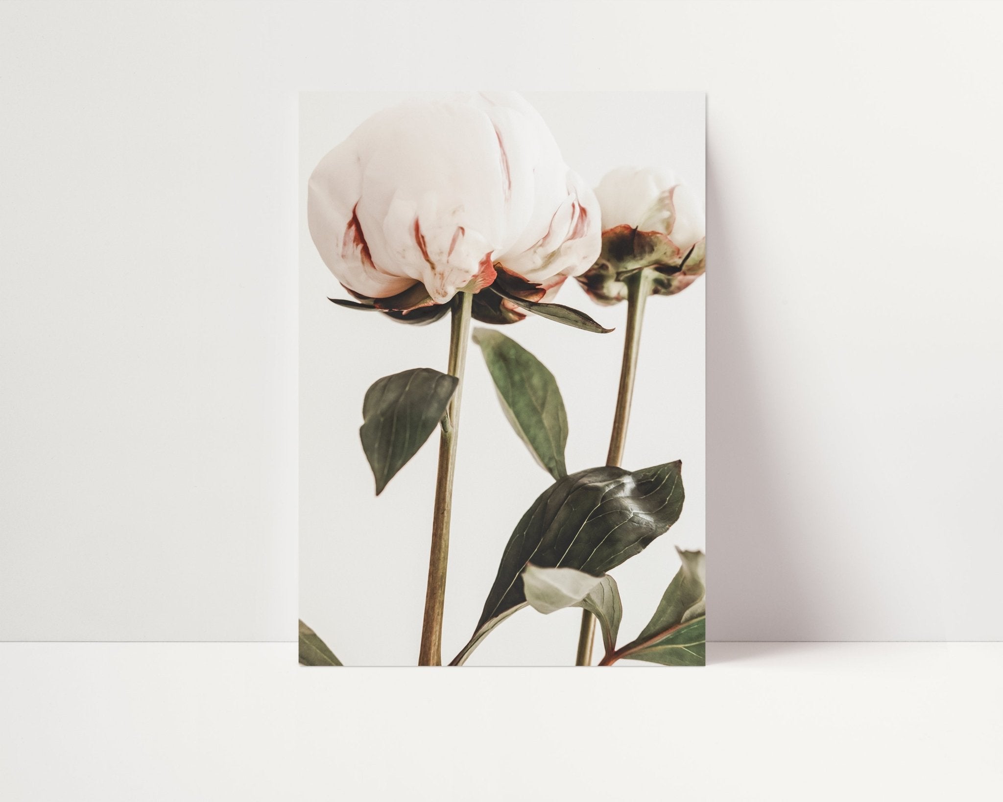 Ranunculus Flower Duo I - D'Luxe Prints