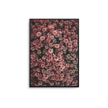 Rose Pink Flower Bed - D'Luxe Prints