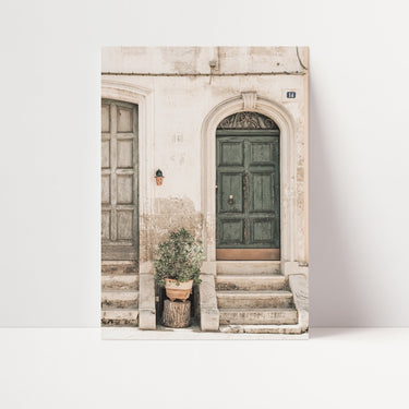 Rustic Green Door - D'Luxe Prints