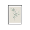 Sage Leaves II Poster - D'Luxe Prints