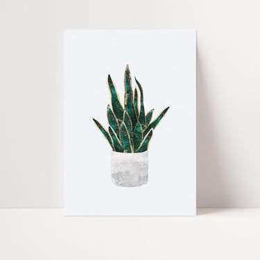 Snake Plant Poster - D'Luxe Prints