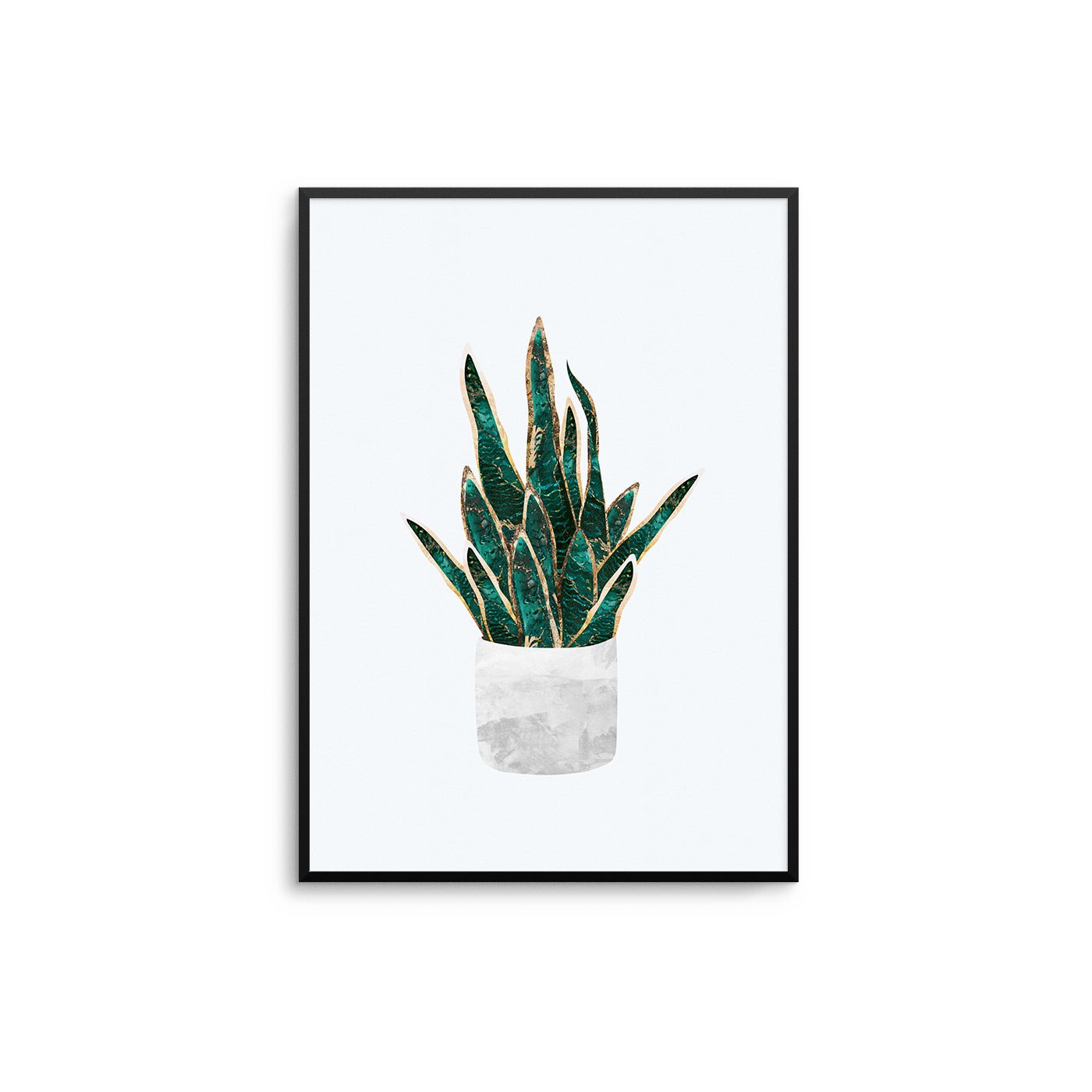 Snake Plant Poster - D'Luxe Prints