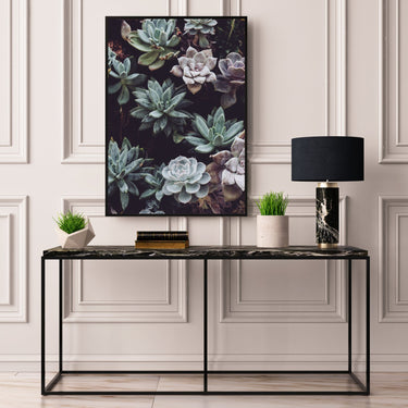 Succulents - D'Luxe Prints