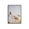 Sun Down Reeds - D'Luxe Prints