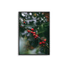 The Holly & The Ivy - D'Luxe Prints