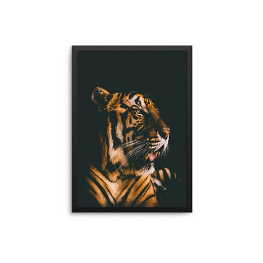 Tiger - D'Luxe Prints