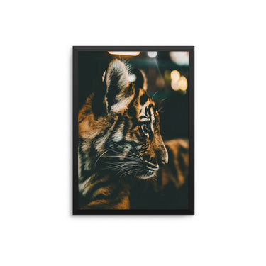 Tiger Cub - D'Luxe Prints