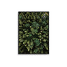 Tree Tops - D'Luxe Prints