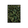 Tree Tops - D'Luxe Prints
