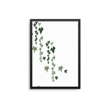 Tropical Ivy Leaves - D'Luxe Prints