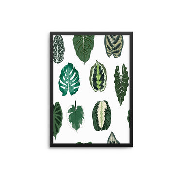 Tropical Palm Leaves - D'Luxe Prints
