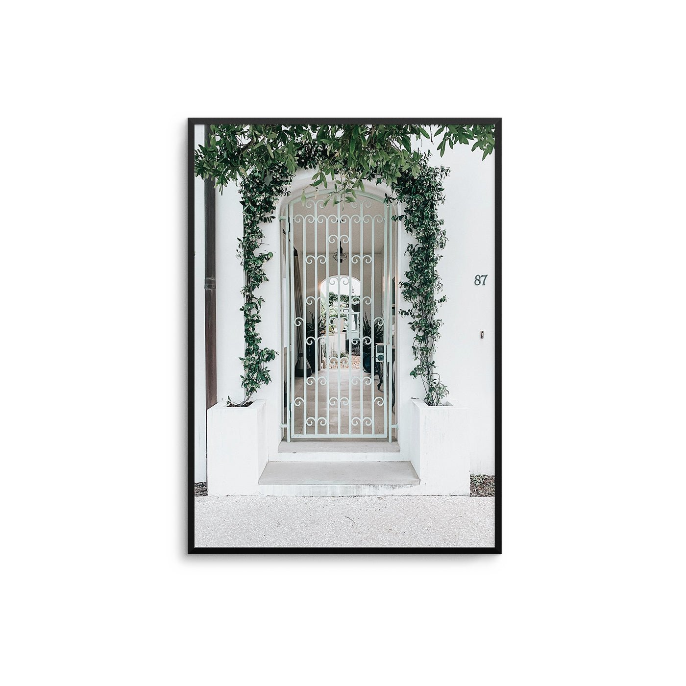 Vine Entrance - D'Luxe Prints