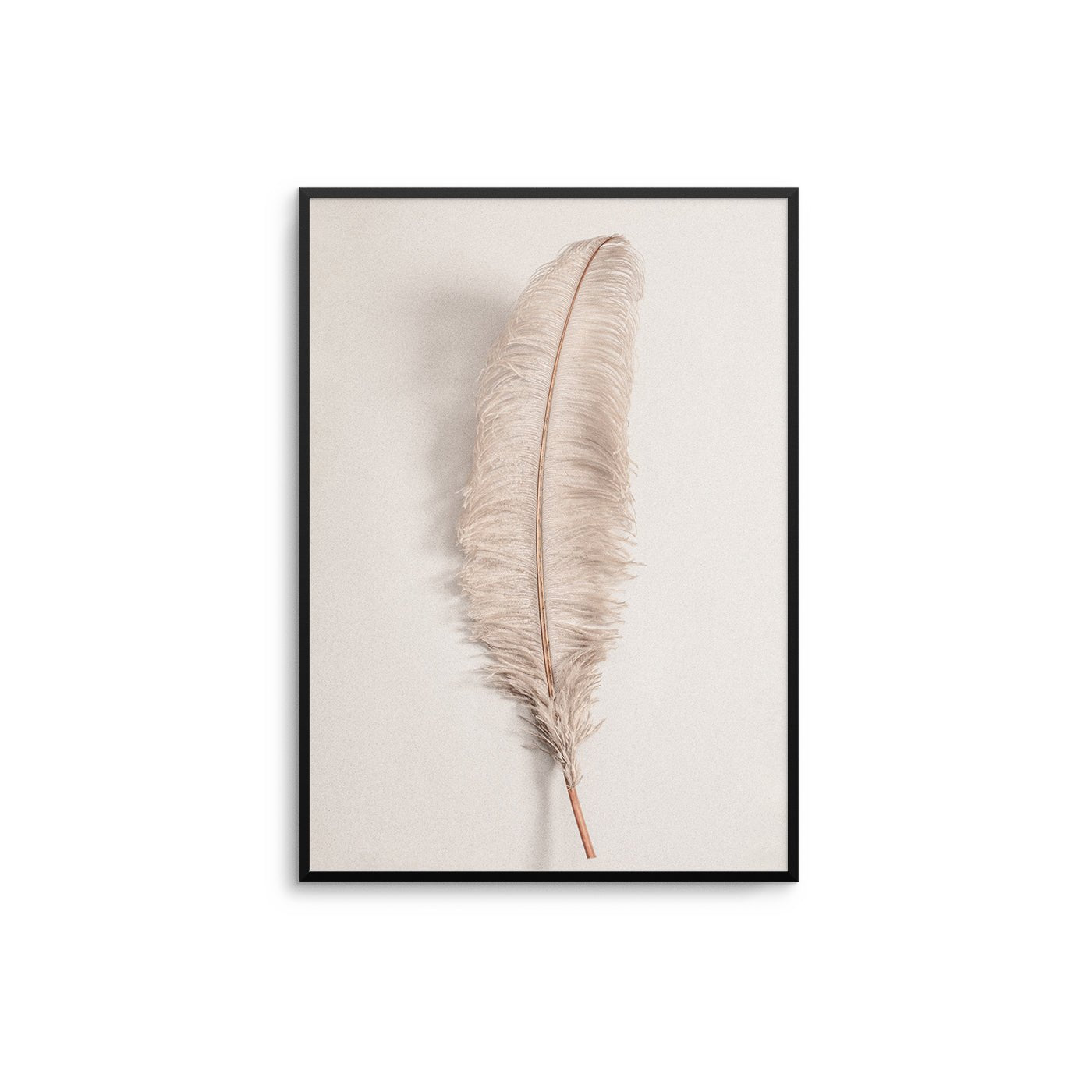 Vintage Beige Feather Poster - D'Luxe Prints