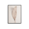 Vintage Beige Feather Poster - D'Luxe Prints