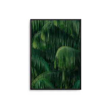 Weeping Willow - D'Luxe Prints