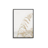 Wheat - D'Luxe Prints