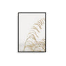 Wheat - D'Luxe Prints