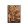 Wheat Field - D'Luxe Prints