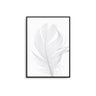 White Feather - D'Luxe Prints