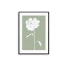 White Flower Poster - D'Luxe Prints