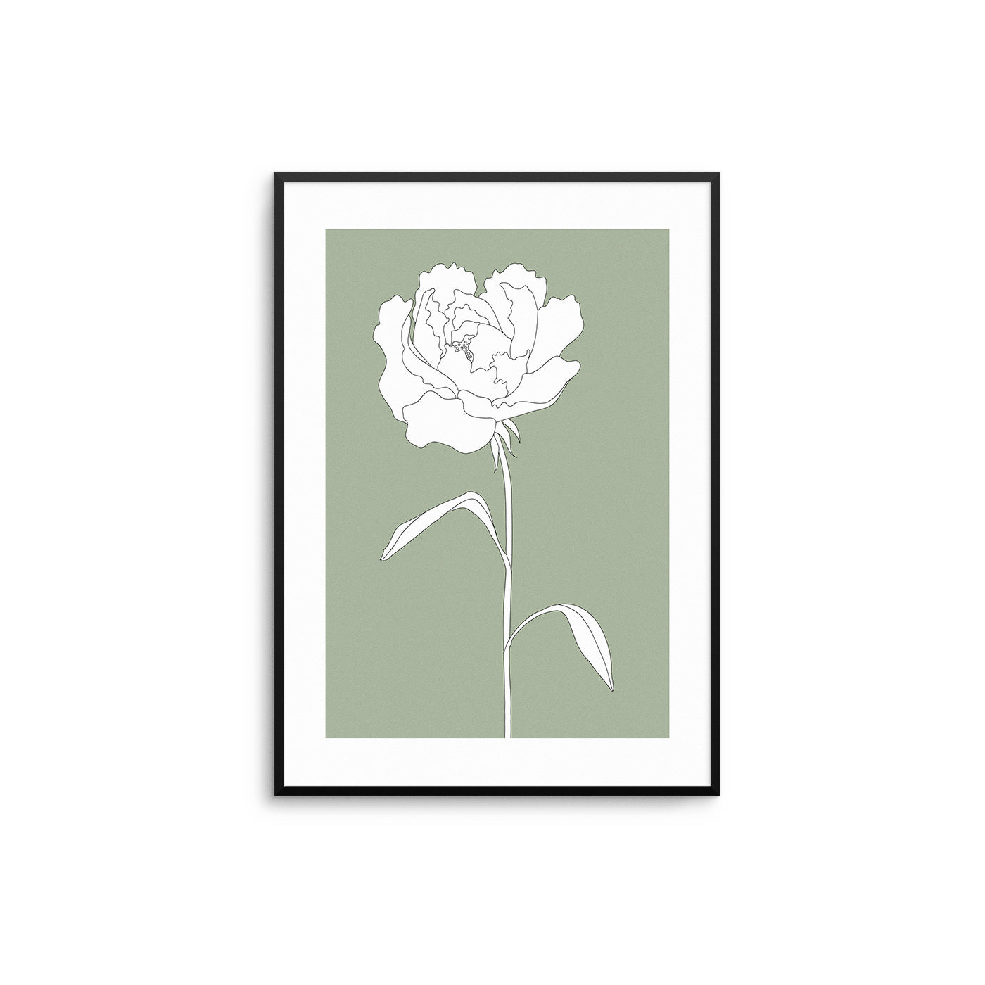 White Flower Poster - D'Luxe Prints