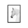 White Horse - D'Luxe Prints