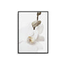 White Orchid II - D'Luxe Prints