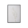 White Petals - D'Luxe Prints
