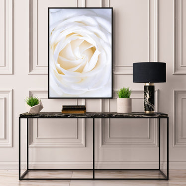 White Rose Close Up - D'Luxe Prints