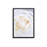 White Rose Close Up - D'Luxe Prints