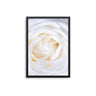 White Rose Close Up - D'Luxe Prints