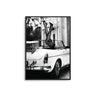 Wild Ride - D'Luxe Prints