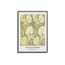William Morris - Chrysanthemum - D'Luxe Prints