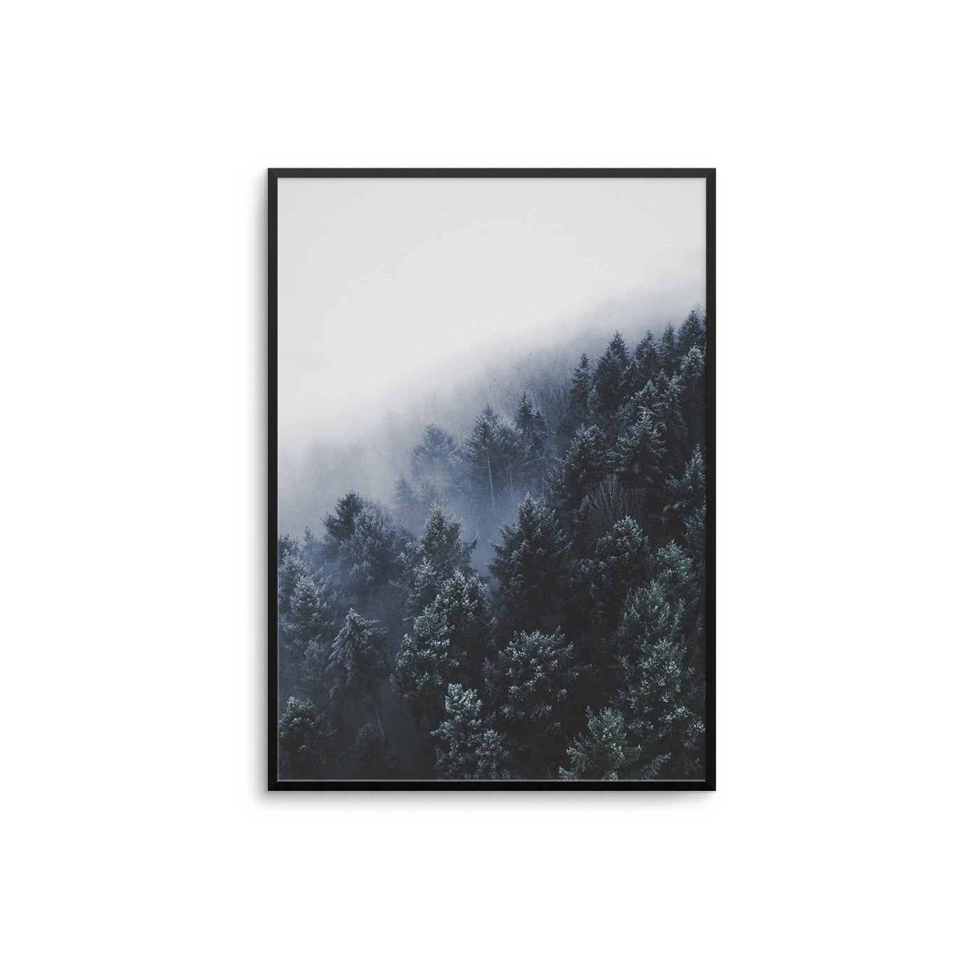 Winter Forest - D'Luxe Prints