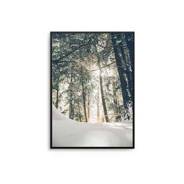 Winter Forest Walk - D'Luxe Prints