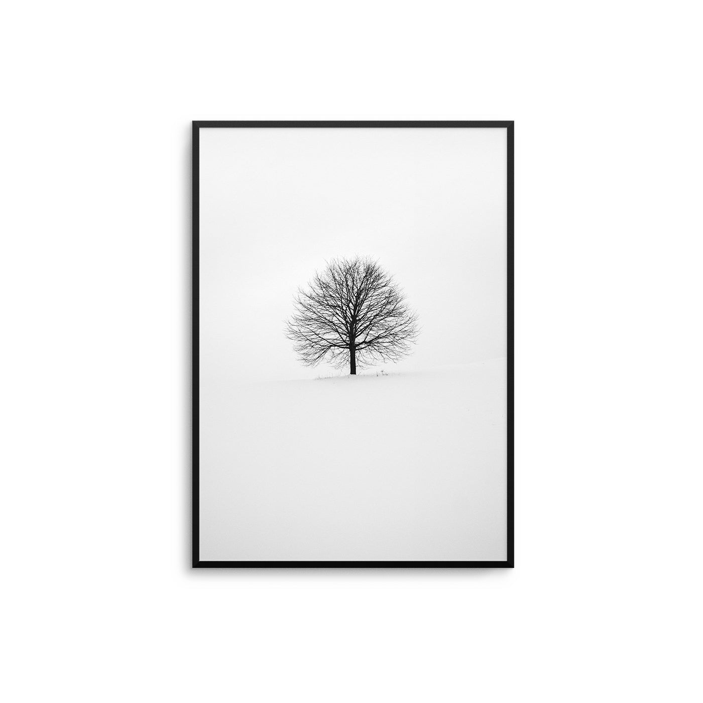 Winter Tree - D'Luxe Prints
