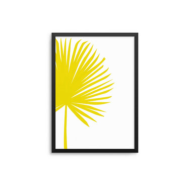 Yellow Fan Palm - D'Luxe Prints