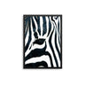 Zebra Close Up - D'Luxe Prints
