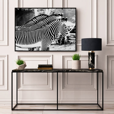Zebra Trio - D'Luxe Prints